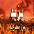 اصل و نسب یزید اصل و نسب یزید از کجاست؟