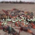 شهید بعد از امام حسین(ع) بنابر گزارشات موجود روز عاشورا همه یاران امام حسین(علیه السلام) شهید شدند تا نوبت به امام حسین (علیه السلام) رسید، پس «سُوَيْد بنعمرو» چرا پس از امام حسین(علیه السلام) شهید شد!؟
