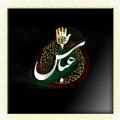 سیادت اولاد حضرت ابالفضل(ع) آیا حضرت ابوالفضل(علیه السلام) و فرزندان ایشان هم سادات هستند؟