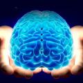 فضائل قوه عاقله قوه عاقله دارای چه فضایلی می باشد؟